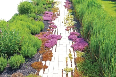 Sentier du jardin d'herbes