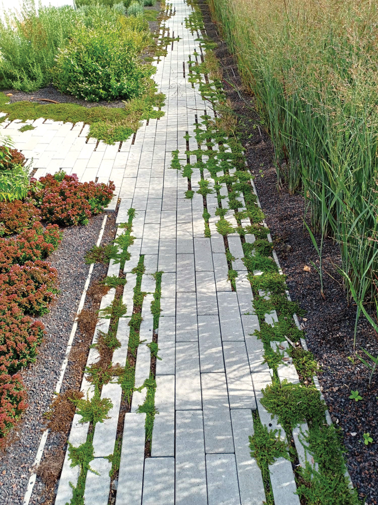 Sentier du jardin d'herbes