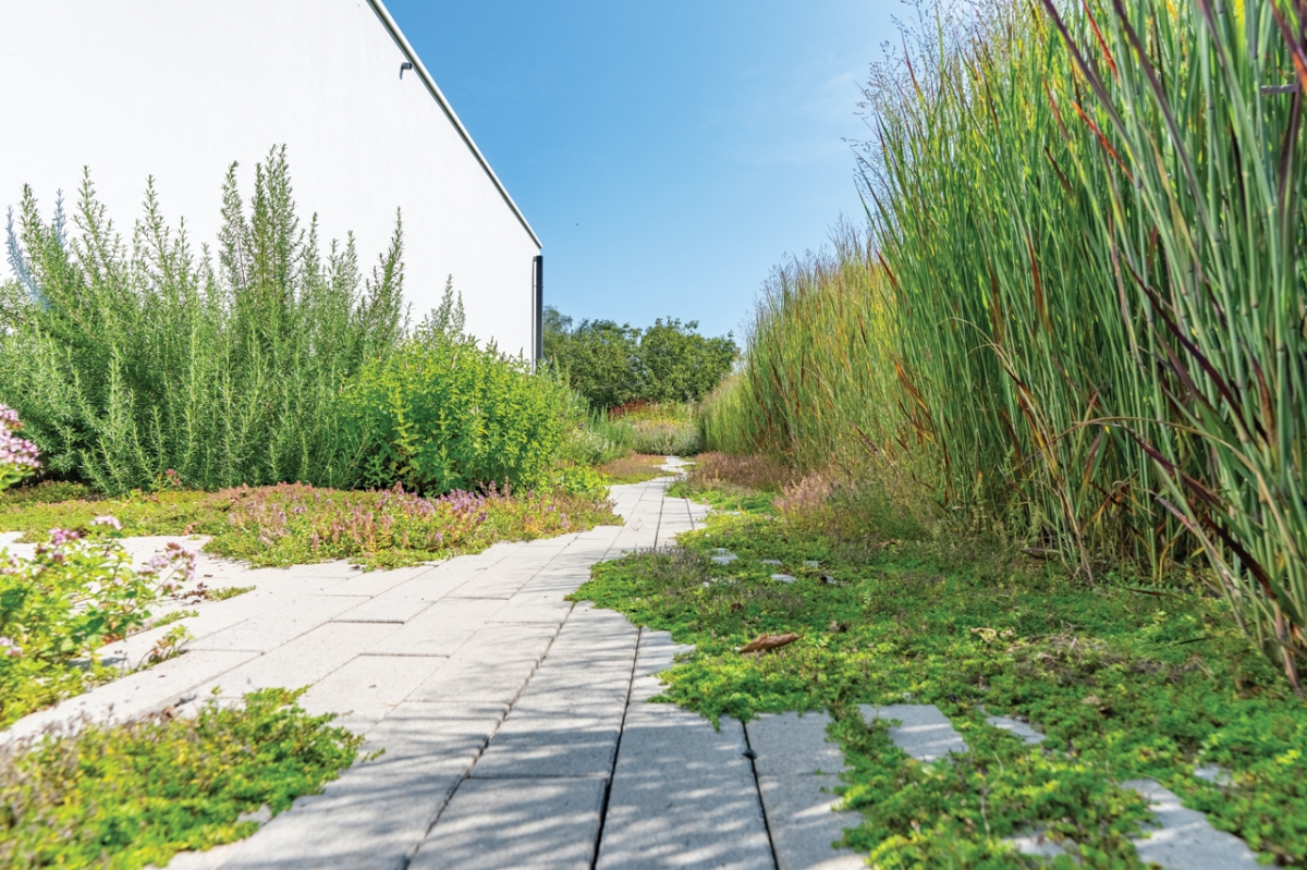 Sentier du jardin d'herbes